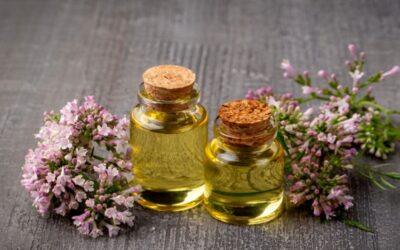 El “Valium de la naturaleza”: la valeriana mejora el sueño y alivia la ansiedad y el estrés