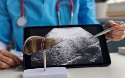 Capacidad de regeneración del hígado y su importancia