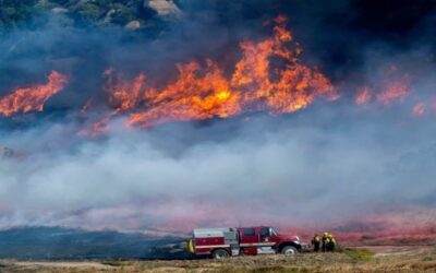 Ordenan evacuaciones por incendio forestal en el sur de California