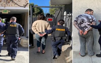 Sentencian a tres acusados por simular ataques de un oso a sus autos para cobrar al seguro.