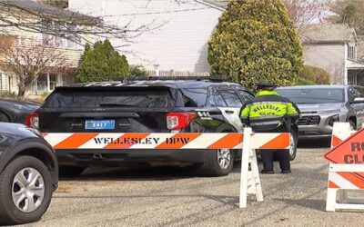 Mujer de Massachusetts acusada de matar a sus hijos en disputa por custodia