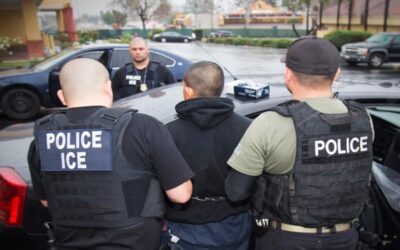 Ciudadanos estadounidenses organizan movimiento contra detenciones y deportaciones masivas