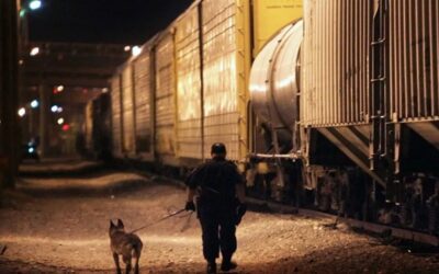 Sube a siete la cifra de inmigrantes muertos hallados en trenes de Texas