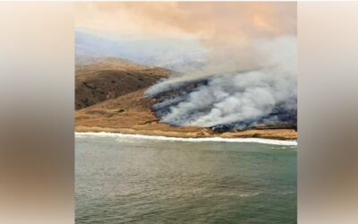 Un incendio azota el sur de California y obliga a la evacuación de más de 20.000 personas.