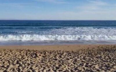 Inicia este fin de semana feriado temporada veraniega con apertura de playas estatales