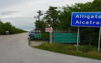 ICE traslada a inmigrantes de ‘Alligator Alcatraz’ ante el riesgo de huracanes.