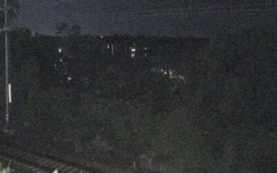 Hombre muere atropellado por tren Amtrak