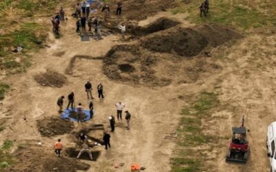 Encuentran al menos 117 perros muertos en una «horrible escena» en un refugio de California.