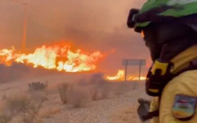 Incendio devasta comunidad de expatriados en sur de España; reportan 12 muertos y 23 desaparecidos