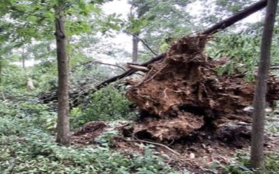 Inundaciones en Missouri provocan el rescate de unas 20 personas de un campamento