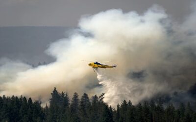 Muere 4to bombero tras combatir incendio forestal en Colorado; fuego amenaza poblado en Oregon