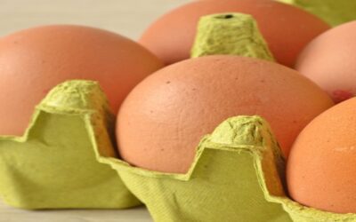 Brote de salmonela relacionado con los huevos ha enfermado a casi una centena de personas