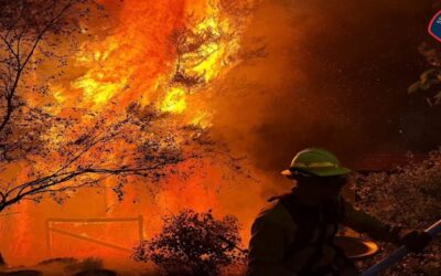 EE.UU. en máximo nivel de alerta por incendios forestales ante 94 grandes focos activos.