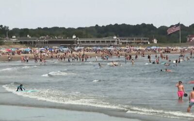 Tiburón a la vista en playa Narragansett, salvavidas alertaron a bañistas.