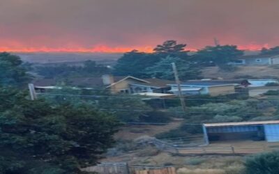 Incendio forestal provocado se acerca a la ciudad de Reno y obliga a evacuar a miles