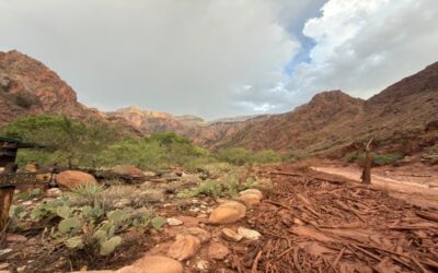 Decenas de personas son evacuadas del Gran Cañón tras inundación repentina en arroyo