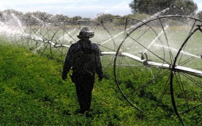 DHS propone quitar 60 días de gracia a inmigrantes con visa de trabajo tras perder empleo