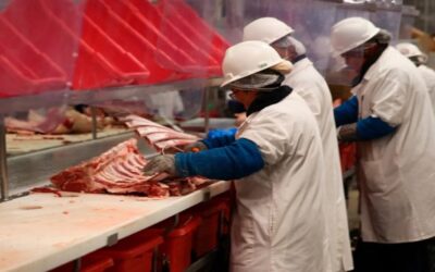 ICE golpea plantas procesadoras: ganaderos advierten que el consumidor pagará más por la carne de res