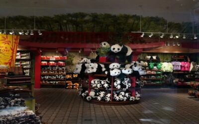Una pareja de pandas llega al zoo de Atlanta tras la cumbre de Trump y Xi