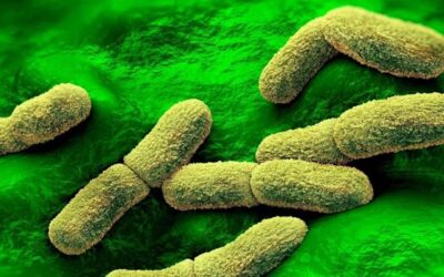 EE.UU. «sigue de cerca» el caso de una científica rusa que falleció en un centro de investigación de la peste en Siberia
