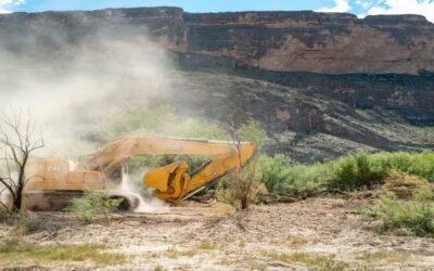 El Gobierno de Trump pide a la Corte Suprema que le permita seguir con la construcción del muro fronterizo en Big Bend
