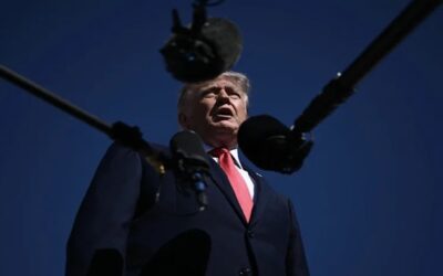 Trump ofrece 1 millón de dólares por información sobre fraude electoral en elecciones.